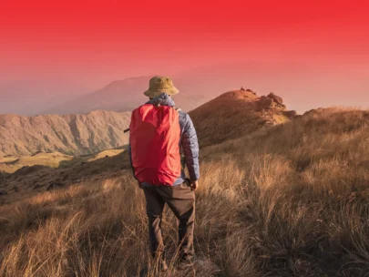 HomePure Nova Filter